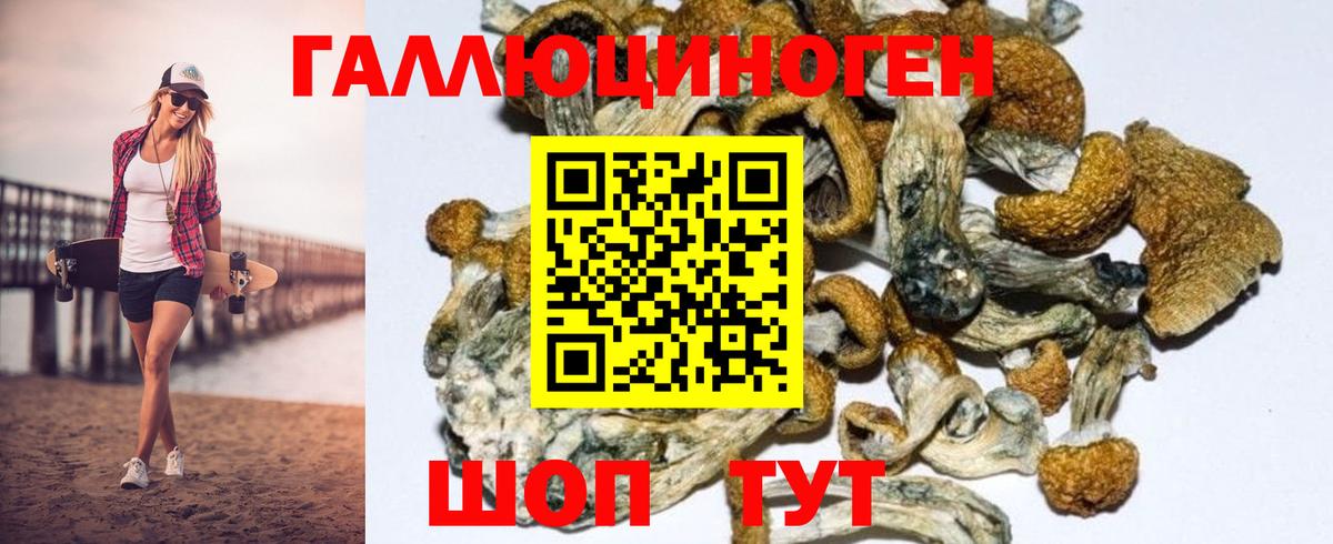 Крымск  Псилоцибиновые грибы Psilocybine cubensis  Вход с VPN 